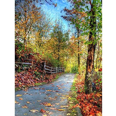 Wee Blue Coo Nature Landscape Cultural Forest Path Road Tree Art Print Poster Wall Decor 12X16 Inch Wee Blue Coo Nature Landscape Cultural Forest Path Road Tree Art Print Poster Wall Decor 12X16 Inch