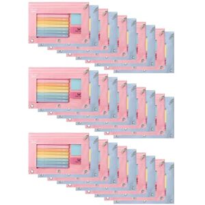 Mr. Pen Mr.Pencil, 30pcs Pink & Blue, Zippered Pouch for 3 Ring Binder Mr. Pen Mr.Pencil, 30pcs Pink & Blue, Zippered Pouch for 3 Ring Binder