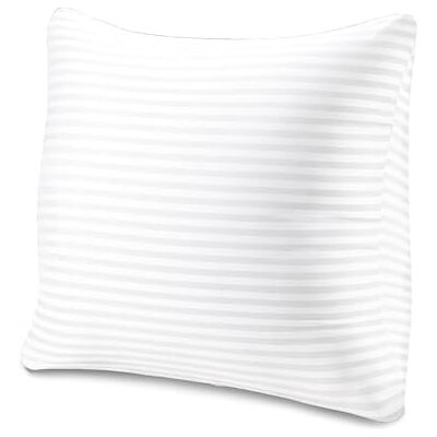 EvZ Homie Premium Stuffer Pillow Insert Sham Square Form Polyester, 22" L X 22" W, Standard White Striped, for 22" Covers EvZ Homie Premium Stuffer Pillow Insert Sham Square Form Polyester, 22" L X 22" W, Standard White Striped, for 22" Covers