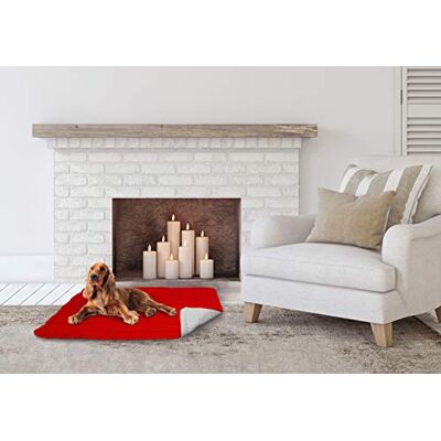 SOGNI E CAPRICCI PETS Italian Bed Linen Doubleface Pillow 60x100cm Red/Light Grey SOGNI E CAPRICCI PETS Italian Bed Linen Doubleface Pillow 60x100cm Red/Light Grey