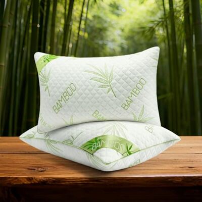 GC GAVENO CAVAILIA Pack of 2 Luxury Bamboo Memory Foam Pillows Orthopaedic Neck & Shoulder Support Hypoallergenic Bed Pillow, Antibacterial Hotel Quality with Washable Cover 48x74 cm GC GAVENO CAVAILIA Pack of 2 Luxury Bamboo Memory Foam Pillows Orthopaedic Neck & Shoulder Support Hypoallergenic Bed Pillow, Antibacterial Hotel Quality with Washable Cover 48x74 cm