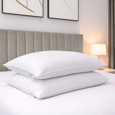 Bianca Fine Linens Super Soft Microfibre Pillow Pair White Bianca Fine Linens Super Soft Microfibre Pillow Pair White