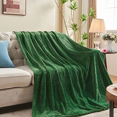 inhand Green Throw Blanket for Couch, Super Soft Cozy Warm Blankets and Throws, Lightweight Fuzzy Twin Blanket for Sofa Bed Office,60x90 inches inhand Green Throw Blanket for Couch, Super Soft Cozy Warm Blankets and Throws, Lightweight Fuzzy Twin Blanket for Sofa Bed Office,60x90 inches