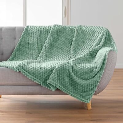 Douceur d'Intérieur , 125 x 150 cm Mini Frosty Sage Flannel Relief Blanket Plain Douceur d'Intérieur , 125 x 150 cm Mini Frosty Sage Flannel Relief Blanket Plain