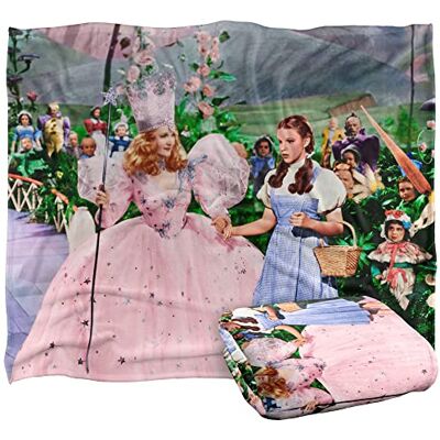 LOGOVISION THE WIZARD OF OZ Stanley Desantis Vintage Dorothy and Glinda Silky Touch Super Soft Throw Blanket 152 x 127 cm LOGOVISION THE WIZARD OF OZ Stanley Desantis Vintage Dorothy and Glinda Silky Touch Super Soft Throw Blanket 152 x 127 cm