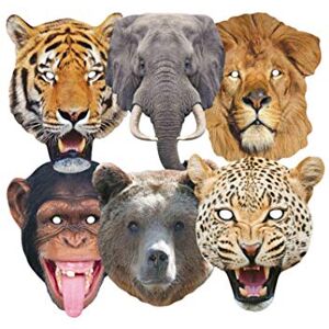 STAR CUTOUTS Lion, Tiger, Bear, Chimpanzee, Elephant, Leopard l Pack of Six l STAR CUTOUTS Lion, Tiger, Bear, Chimpanzee, Elephant, Leopard l Pack of Six l