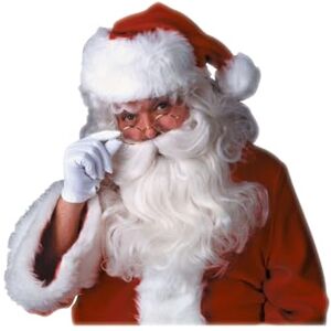 Rubies Official Feature Santa Beard and Wig Set Christmas Adult (One Size) Halloween Rubies Official Feature Santa Beard and Wig Set Christmas Adult (One Size) Halloween