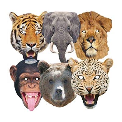 STAR CUTOUTS Lion, Tiger, Bear, Chimpanzee, Elephant, Leopard l Pack of Six l STAR CUTOUTS Lion, Tiger, Bear, Chimpanzee, Elephant, Leopard l Pack of Six l
