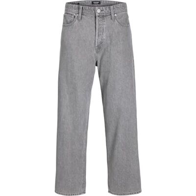 JACK & JONES Male Baggy Fit Jeans JJIALEX Jjoriginal SQ 067 Noos Baggy Fit Jeans, Grey Denim, 29 W/32 L JACK & JONES Male Baggy Fit Jeans JJIALEX Jjoriginal SQ 067 Noos Baggy Fit Jeans, Grey Denim, 29 W/32 L