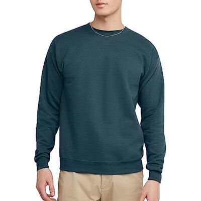 Hanes Men's EcoSmart Fleece, Cotton-Blend Pullover, Crewneck Sweatshirt, Metallic Teal 1 Pack, L Hanes Men's EcoSmart Fleece, Cotton-Blend Pullover, Crewneck Sweatshirt, Metallic Teal 1 Pack, L