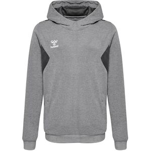 hummel Hmlauthentic Pl Hoodie Kids - Pullover hummel Hmlauthentic Pl Hoodie Kids - Pullover