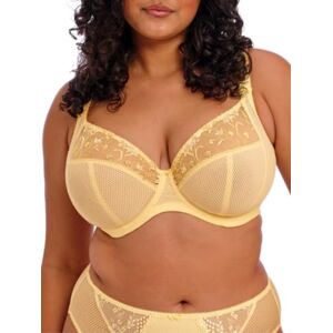 Elomi Women’s Charley Floral Embroidery, Low Plunge, Dd+ Bras, Lemon Fizz, 42FF Elomi Women’s Charley Floral Embroidery, Low Plunge, Dd+ Bras, Lemon Fizz, 42FF