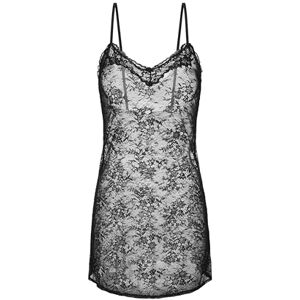 DORINA Origins Non-Padded Lace Dress, Adjustable Straps, Bow Detail, Allover Lace Trim, Black DORINA Origins Non-Padded Lace Dress, Adjustable Straps, Bow Detail, Allover Lace Trim, Black