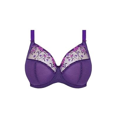Elomi Women’s Charley Plunge Bra: Floral Embroidery, Low Plunge, DD+ Bras, Iris, 32H US Elomi Women’s Charley Plunge Bra: Floral Embroidery, Low Plunge, DD+ Bras, Iris, 32H US