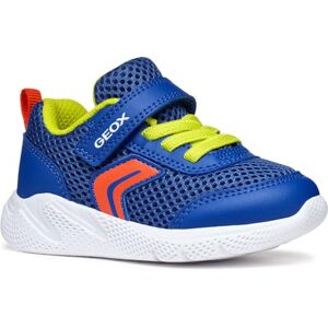 Geox B SPRINTYE BOY C, Baby Jungen Sneaker, Royal/Red, Geox B SPRINTYE BOY C, Baby Jungen Sneaker, Royal/Red,