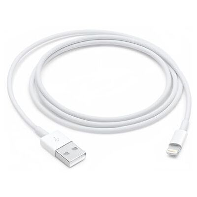 Apple Lightning to USB Cable (1m) Apple Lightning to USB Cable (1m) 
