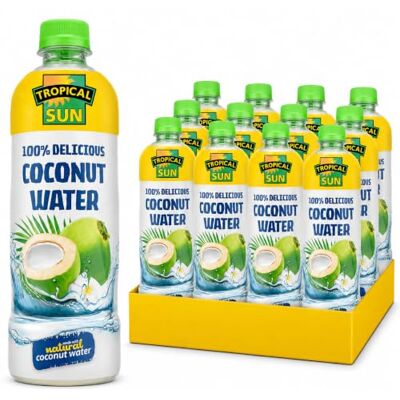 Sun 100% Delicious Coconut Water for Instant Refreshment – 500 millilitres (Pack of 12) – Free from Artificial additives Sun 100% Delicious Coconut Water for Instant Refreshment – 500 millilitres (Pack of 12) – Free from Artificial additives