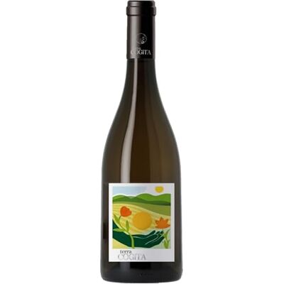 Terra Cogita Les Domaines Robert Vic Soreli White Wine, Vin de France Languedoc, 75cl – Pear & White-Flower Aromas, Smooth, Fresh & Balanced – Serve Chilled with Fish Terra Cogita Les Domaines Robert Vic Soreli White Wine, Vin de France Languedoc, 75cl – Pear & White-Flower Aromas, Smooth, Fresh & Balanced – Serve Chilled with Fish