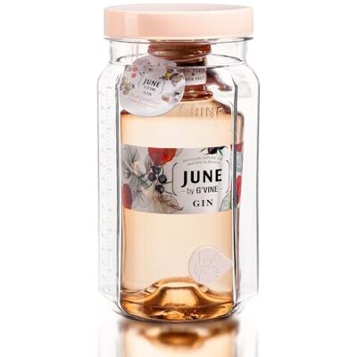 G'Vine JUNE Wild Peach & Summer Fruits Flavoured Gin with Cocktail Making Jar, 37.5% ABV, 70cl G'Vine JUNE Wild Peach & Summer Fruits Flavoured Gin with Cocktail Making Jar, 37.5% ABV, 70cl