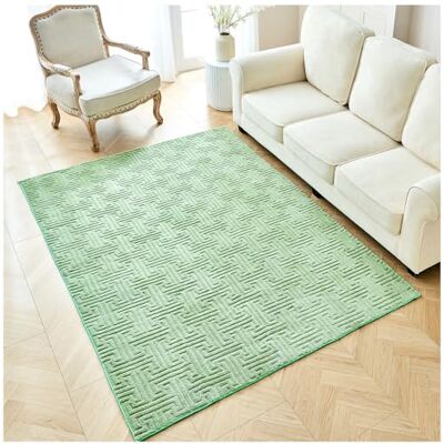 GC GAVENO CAVAILIA Faux Fur Fleece Area Rugs Living Room Large 160x230 Cm Greek Fluffy Rug For Bedroom, Dining Room, Office Anti Slip Mat Carpet Floor Mat Runners Washable Outdoor Rug, Sage Green GC GAVENO CAVAILIA Faux Fur Fleece Area Rugs Living Room Large 160x230 Cm Greek Fluffy Rug For Bedroom, Dining Room, Office Anti Slip Mat Carpet Floor Mat Runners Washable Outdoor Rug, Sage Green