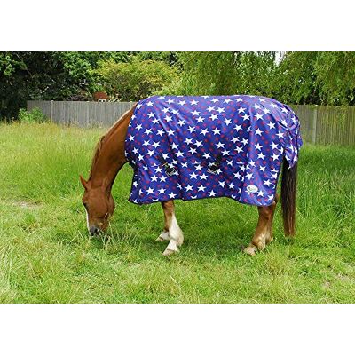 Rhinegold 0 Star Torrent Rug-lightweight No Fill Outdoor rug, Star Design, 6 UK Rhinegold 0 Star Torrent Rug-lightweight No Fill Outdoor rug, Star Design, 6 UK