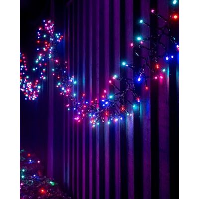 WeRChristmas LED Cluster Lights, Black Cable WeRChristmas LED Cluster Lights, Black Cable