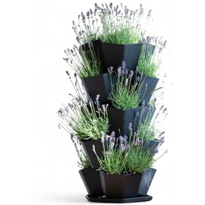 Nicoman 5-Tier Stackable Vertical Garden Planter, Black Hexagonal Plant Tower with Drainage System, Multi-layer Pot for Herb, Flower, Tomatoes, Vegetable Bedding, Indoor Outdoor Vertical Garden Tower Nicoman 5-Tier Stackable Vertical Garden Planter, Black Hexagonal Plant Tower with Drainage System, Multi-layer Pot for Herb, Flower, Tomatoes, Vegetable Bedding, Indoor Outdoor Vertical Garden Tower