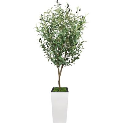 GarveeHome Olive Tree Artificial Plant 150 cm Fake Plant Plastic Plants Artificial Plants Artificial Tree for Living Room Bedroom Office Garden Decoration GarveeHome Olive Tree Artificial Plant 150 cm Fake Plant Plastic Plants Artificial Plants Artificial Tree for Living Room Bedroom Office Garden Decoration