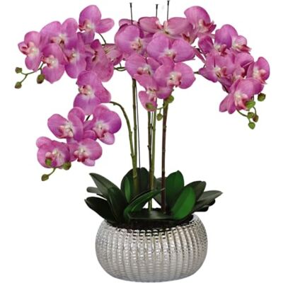 GreenBrokers Elegant Large Six Stem Butterfly Purple Real Touch Artificial Potted Orchid (65cm) In Decorative Silver Ceramic Pot GreenBrokers Elegant Large Six Stem Butterfly Purple Real Touch Artificial Potted Orchid (65cm) In Decorative Silver Ceramic Pot