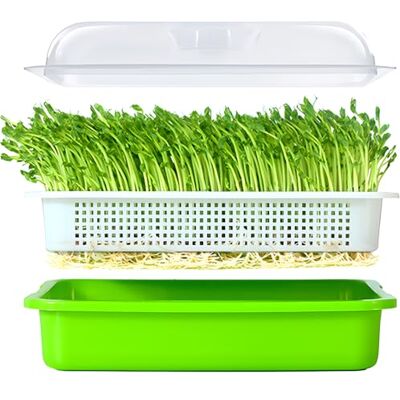 LeJoy Garden Seed Sprouter Tray BPA Free PP Soil-Free Big Capacity Healthy Wheatgrass Grower with Lid Sprouting Kit 13.4x9.84x4.72 inches,Green LeJoy Garden Seed Sprouter Tray BPA Free PP Soil-Free Big Capacity Healthy Wheatgrass Grower with Lid Sprouting Kit 13.4x9.84x4.72 inches,Green