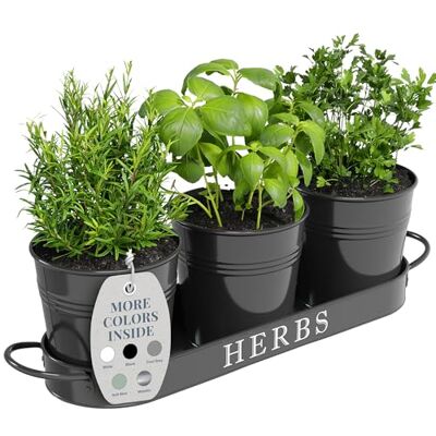 Barnyard Designs Indoor Herb Garden Planter Set with Tray, Metal Windowsill Plant Pots with Drainage for Outdoor or Indoor Plants, Black, Set/3 Barnyard Designs Indoor Herb Garden Planter Set with Tray, Metal Windowsill Plant Pots with Drainage for Outdoor or Indoor Plants, Black, Set/3