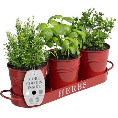 Barnyard Designs Farmhouse Herb Garden Planter Set with Tray or Outdoor Apartment Window Planter Box, Indoor Herb Garden Pots, Red, Set/3 Barnyard Designs Farmhouse Herb Garden Planter Set with Tray or Outdoor Apartment Window Planter Box, Indoor Herb Garden Pots, Red, Set/3