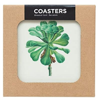 Grupo Erik Botanical Cacti Coasters Set Of 4-4 x 4 inches / 10 x 10 cm Cork Coasters, Drinks Coasters, Beermat, Beverage Coaster, Drip Mat, Outdoor Coasters Grupo Erik Botanical Cacti Coasters Set Of 4-4 x 4 inches / 10 x 10 cm Cork Coasters, Drinks Coasters, Beermat, Beverage Coaster, Drip Mat, Outdoor Coasters