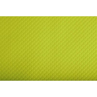 Exacompta Disposable placemat in embossed and satin paper Size 30X40 cm Made in France In tray of 500 sets. kiwi green (bright) Exacompta Disposable placemat in embossed and satin paper Size 30X40 cm Made in France In tray of 500 sets. kiwi green (bright)