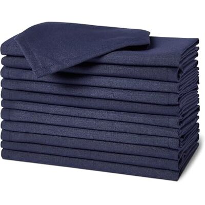 Amazon Basics Reusable Stain and Wrinkle Resistant Cloth Napkins, 43 x 43 cm (Set of 12), Blue Amazon Basics Reusable Stain and Wrinkle Resistant Cloth Napkins, 43 x 43 cm (Set of 12), Blue
