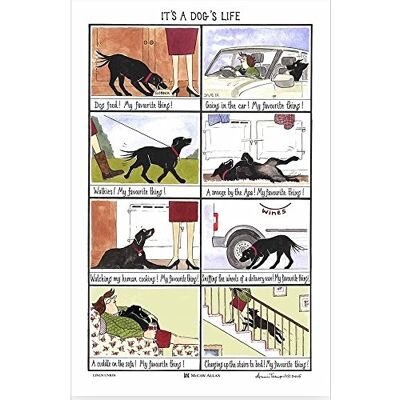 Samuel Lamont It's a Dogs Life Cotton Tea Towel Samuel Lamont It's a Dogs Life Cotton Tea Towel