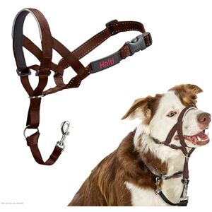 Halti Headcollar Stop Your Dog Pulling on the Lead. Adjustable, Reflective and Lightweight, with Padded Nose Band. Dog Training Anti-Pull Collar for Medium Dogs (Size 2, Deep Walnut) Halti Headcollar Stop Your Dog Pulling on the Lead. Adjustable, Reflective and Lightweight, with Padded Nose Band. Dog Training Anti-Pull Collar for Medium Dogs (Size 2, Deep Walnut)