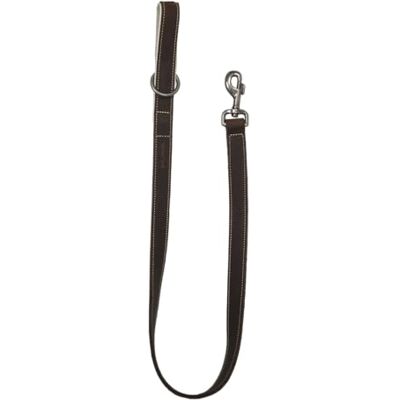 JACK AND VANILLA , Modena Genuine Leather Lead 25 mm x 100 cm, Modern and Elegant Design, Ideal for Controlling Your Dog, Beige Colour, Comfort and Durability Assured, Model Modena JACK AND VANILLA , Modena Genuine Leather Lead 25 mm x 100 cm, Modern and Elegant Design, Ideal for Controlling Your Dog, Beige Colour, Comfort and Durability Assured, Model Modena