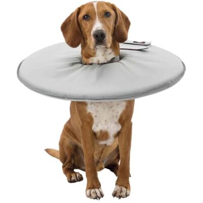 TRIXIE Protective Collar, Small, 30-34 cm/19.5 cm, Grey TRIXIE Protective Collar, Small, 30-34 cm/19.5 cm, Grey