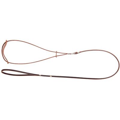 Dingo Waldemar Rutkowski Dingo Smart Fashion for Champion, Leather Show Leash, Brown Lead for Exhibition and Dog Ring Show 10706 Dingo Waldemar Rutkowski Dingo Smart Fashion for Champion, Leather Show Leash, Brown Lead for Exhibition and Dog Ring Show 10706