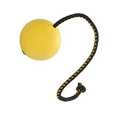 DINGO GEAR WWW.DINGOGEAR.COM 1977 DINGO GEAR Training Ball 30 cm Handle Floating on Water Filled Rubber Dog Toy with String Pulled Through the Inside for Dog Training Retrieve Agility Reward Fun Yellow S02703 DINGO GEAR WWW.DINGOGEAR.COM 1977 DINGO GEAR Training Ball 30 cm Handle Floating on Water Filled Rubber Dog Toy with String Pulled Through the Inside for Dog Training Retrieve Agility Reward Fun Yellow S02703