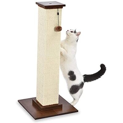 Amazon Basics Cat Scratching Post for Indoor Cats, Heavy Duty with Wood Floor, 90 cm, Brown Amazon Basics Cat Scratching Post for Indoor Cats, Heavy Duty with Wood Floor, 90 cm, Brown