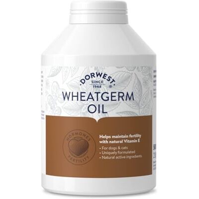 DORWEST HERBS Wheatgerm Oil Capsules for Dogs and Cats 500 Capsules DORWEST HERBS Wheatgerm Oil Capsules for Dogs and Cats 500 Capsules