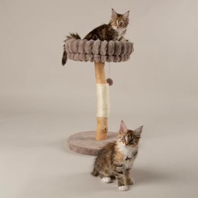 Scruffs Appalachians Cat Scratching Tree Scruffs Appalachians Cat Scratching Tree