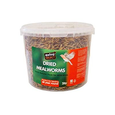 Extra Select Dried Mealworms Wild Bird Feed Treat, 3 Litre Extra Select Dried Mealworms Wild Bird Feed Treat, 3 Litre