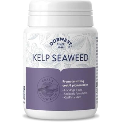DORWEST HERBS Kelp Seaweed Tablets for Dogs and Cats 100 Tablets DORWEST HERBS Kelp Seaweed Tablets for Dogs and Cats 100 Tablets