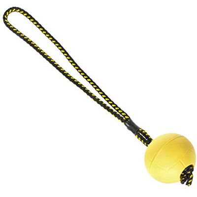DINGO GEAR WWW.DINGOGEAR.COM 1977 Magnetic Handle Rubber Ball for the Dog Behavioral Training IGP Schutzhund Test K9 Reward Fetch and Fun Floatable Toy DINGO GEAR WWW.DINGOGEAR.COM 1977 Magnetic Handle Rubber Ball for the Dog Behavioral Training IGP Schutzhund Test K9 Reward Fetch and Fun Floatable Toy