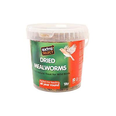 Extra Select Dried Mealworms for Wild Birds: Protein Rich Wild Bird Food for Robins and Wildlife Meal Worms for Garden Birds 1 Litre Tub Extra Select Dried Mealworms for Wild Birds: Protein Rich Wild Bird Food for Robins and Wildlife Meal Worms for Garden Birds 1 Litre Tub