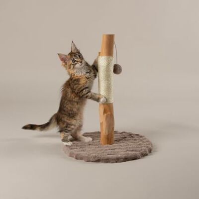 Scruffs Andes "My First" Cat Scratching Tree Scruffs Andes "My First" Cat Scratching Tree