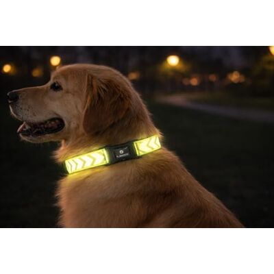 Flamingo Dog Collar Fergu Fluo yellow L 45-65cm 25mm Flamingo Dog Collar Fergu Fluo yellow L 45-65cm 25mm